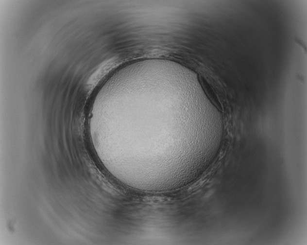 X0000103430242200809261737