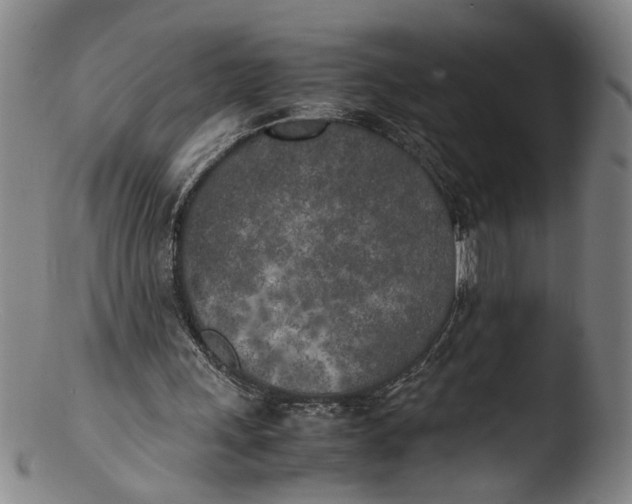 X0000103430243200809261737