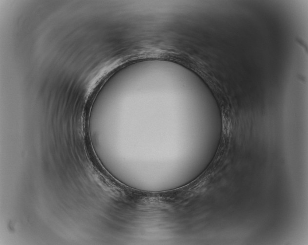 X0000103430244200809261737