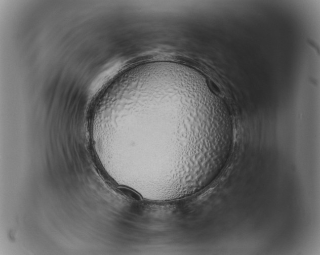 X0000103430245200809261737