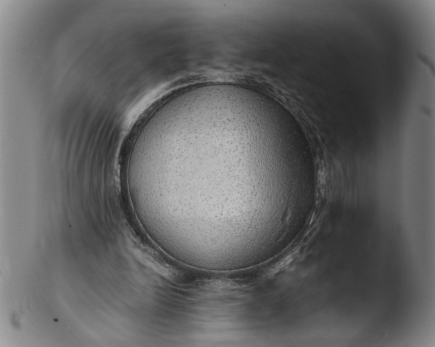 X0000103430246200809261737