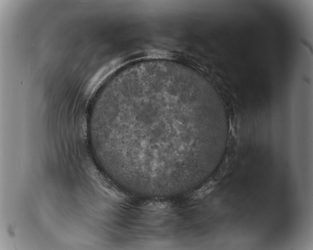 X0000103430247200809261737