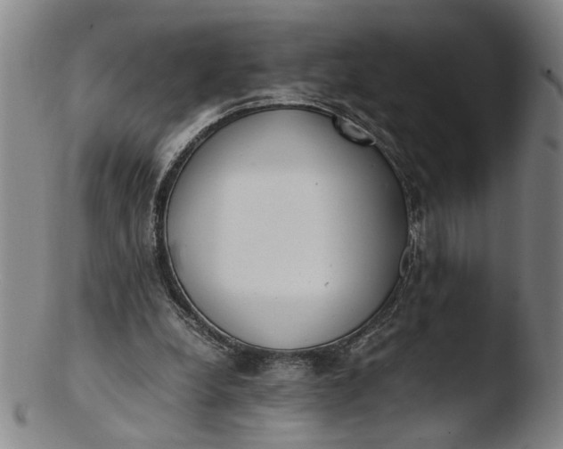 X0000103430248200809261737