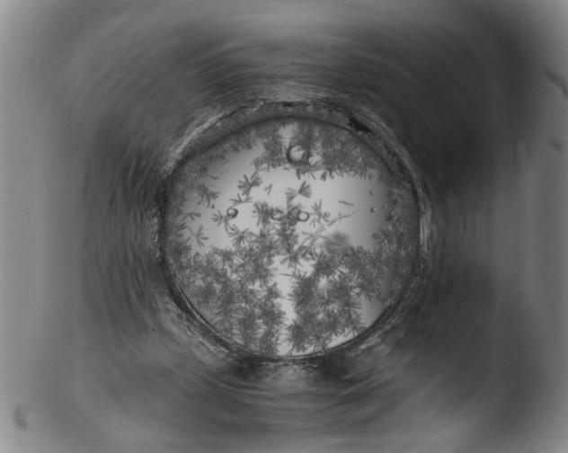 X0000103430249200809261737