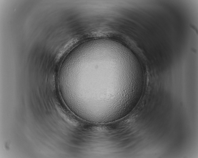 X0000103430250200809261737