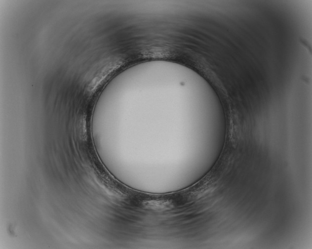 X0000103430251200809261737