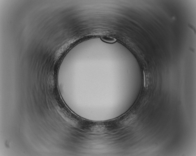 X0000103430252200809261737