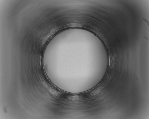 X0000103430253200809261737