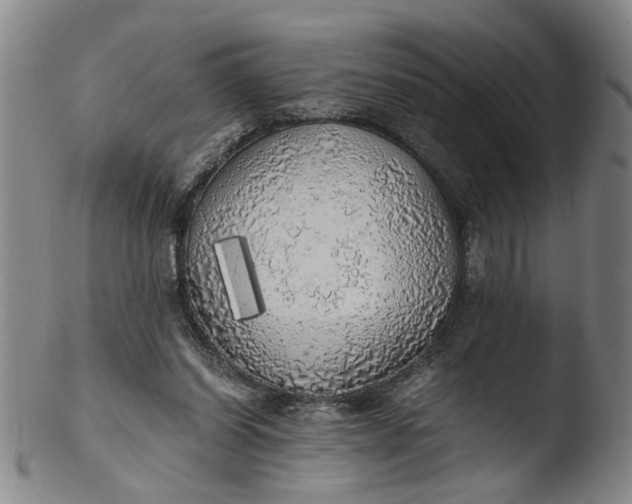 X0000103430254200809261737