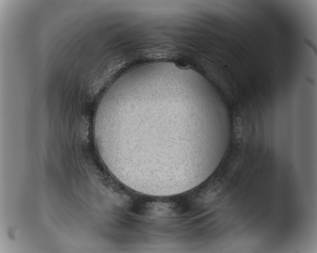 X0000103430255200809261737