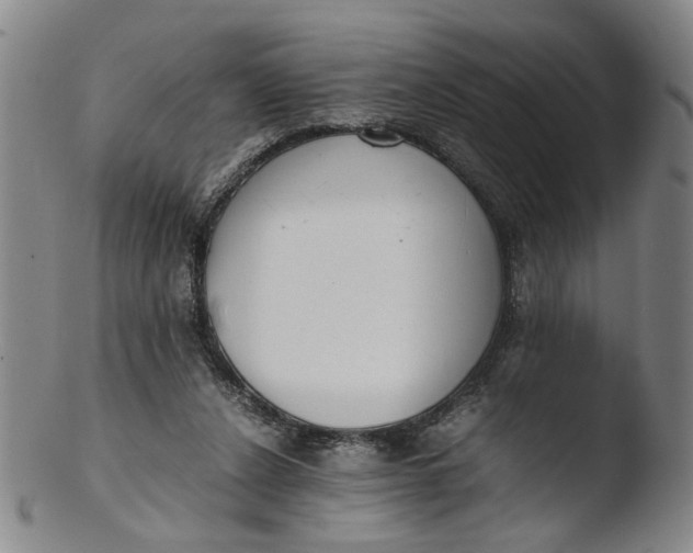 X0000103430256200809261737