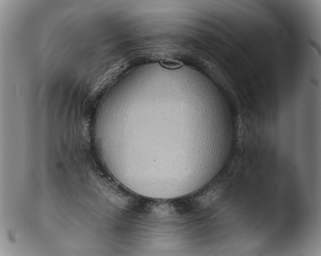 X0000103430258200809261738