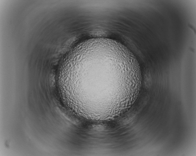 X0000103430259200809261738