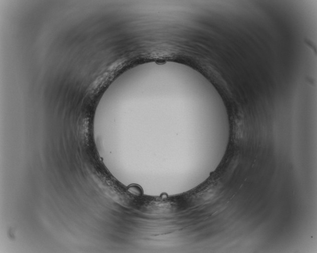 X0000103430260200809261738