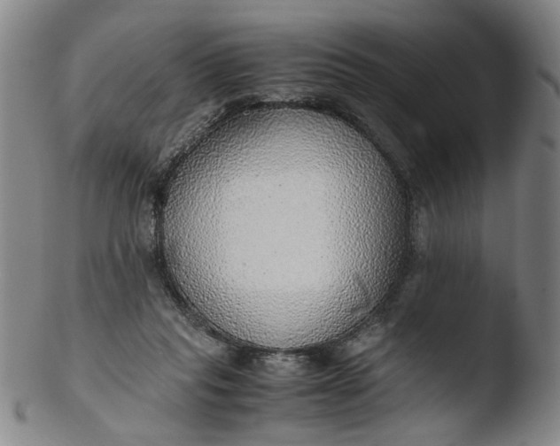 X0000103430261200809261738