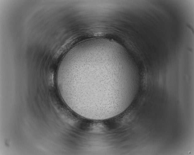 X0000103430262200809261738