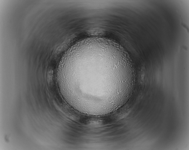 X0000103430263200809261738