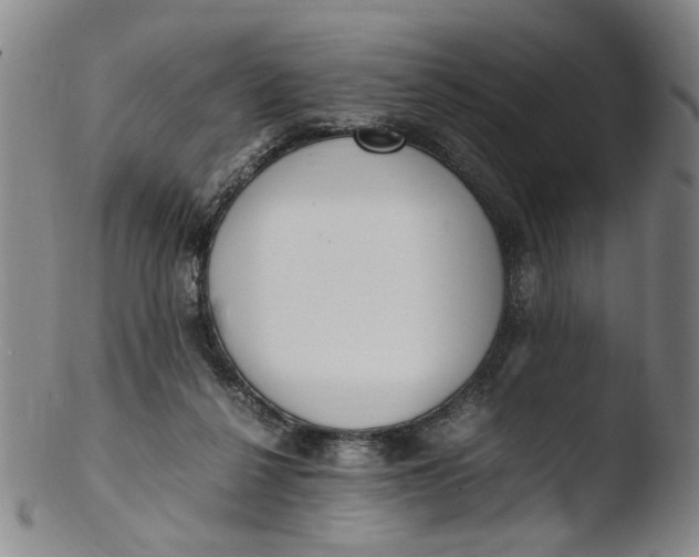 X0000103430264200809261738