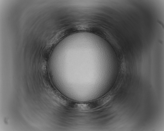 X0000103430265200809261738