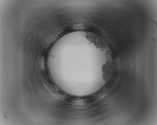 X0000103430267200809261738