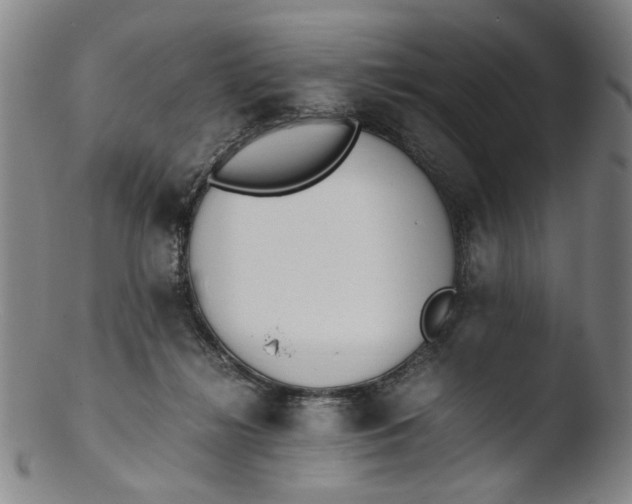 X0000103430268200809261738