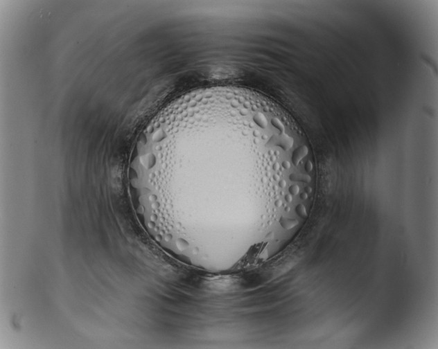 X0000103430269200809261738