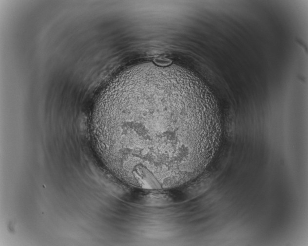 X0000103430270200809261738