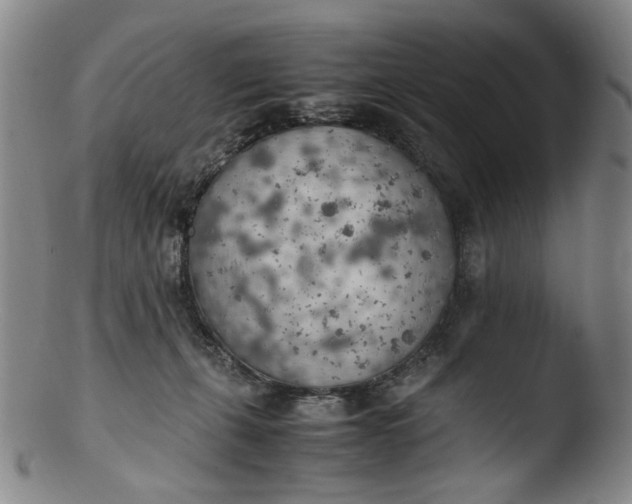 X0000103430271200809261738