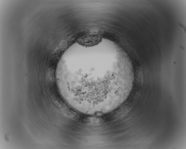 X0000103430272200809261738