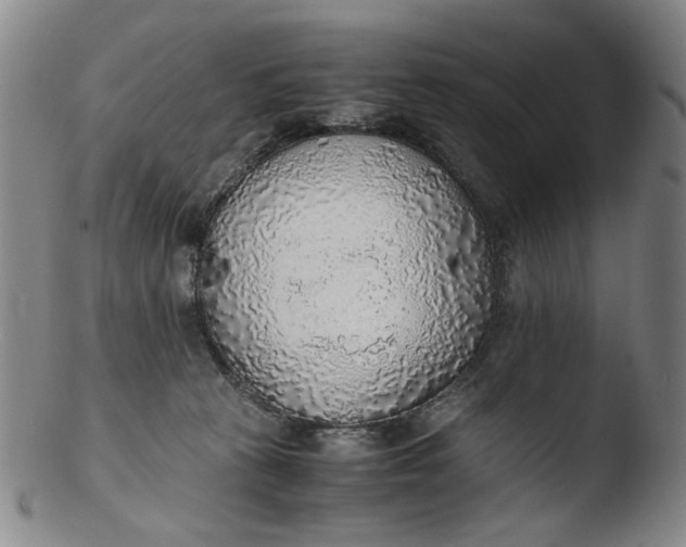 X0000103430273200809261738