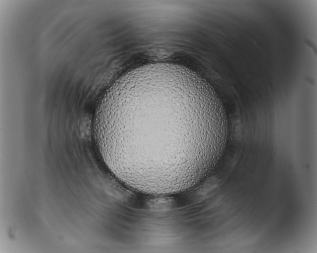 X0000103430274200809261738