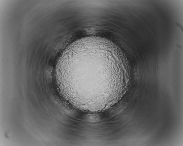 X0000103430275200809261738