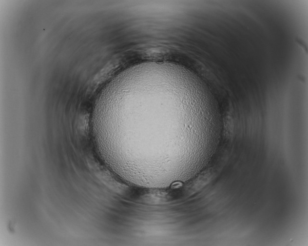 X0000103430278200809261738