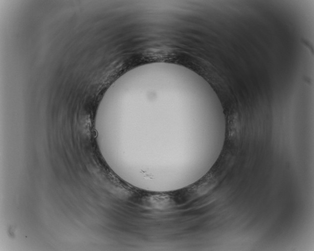 X0000103430279200809261738