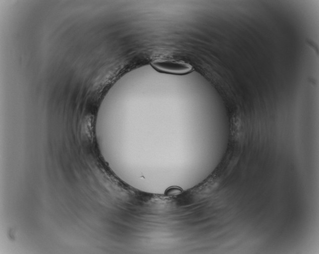 X0000103430280200809261738