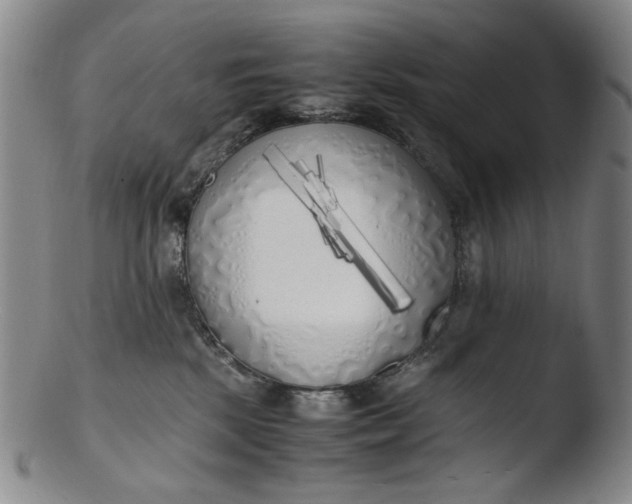 X0000103430281200809261738