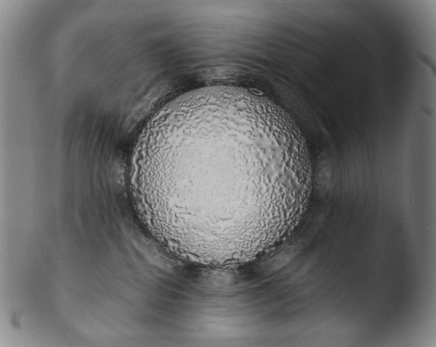 X0000103430282200809261738