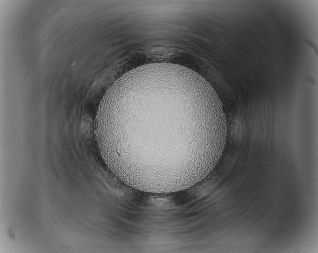 X0000103430283200809261738