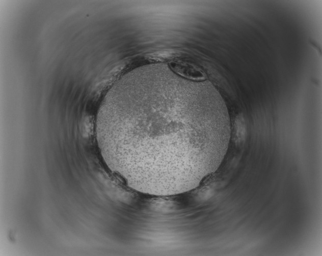 X0000103430284200809261738