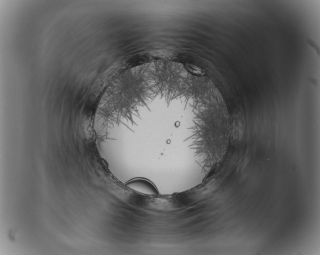 X0000103430285200809261738