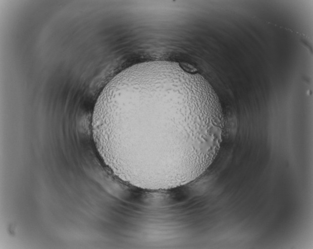 X0000103430286200809261738