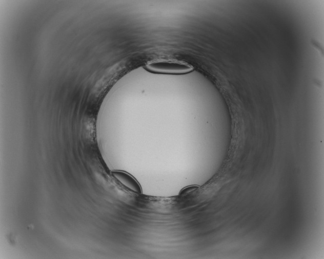 X0000103430288200809261738