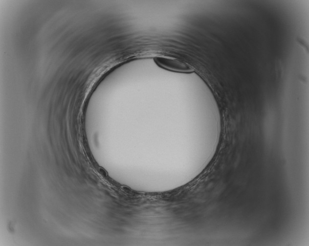 X0000103430289200809261737