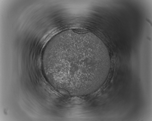 X0000103430290200809261737