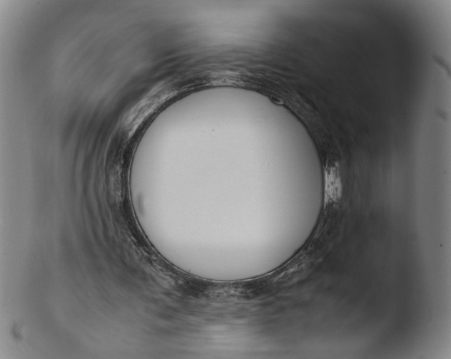 X0000103430291200809261737