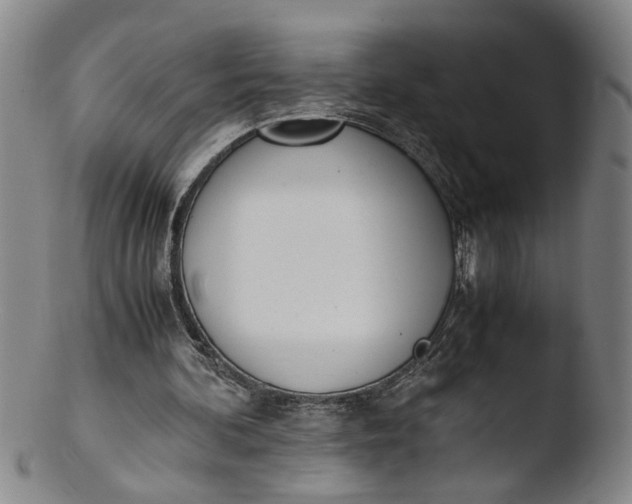 X0000103430292200809261737