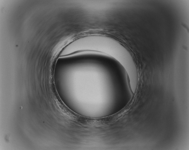 X0000103430293200809261737