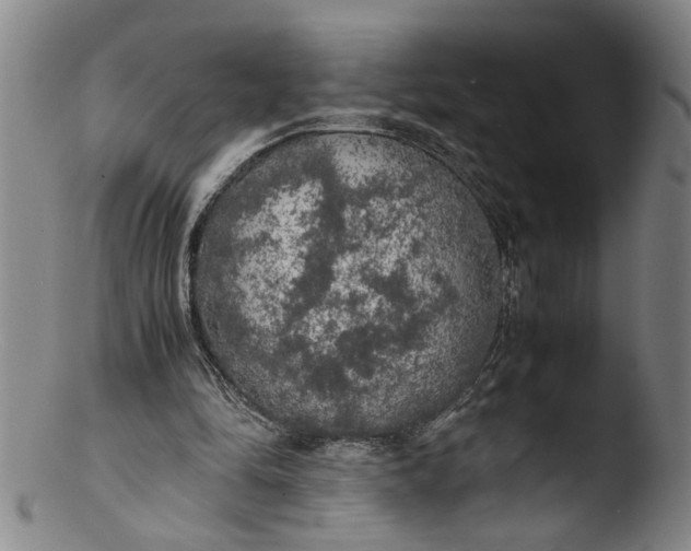 X0000103430294200809261737