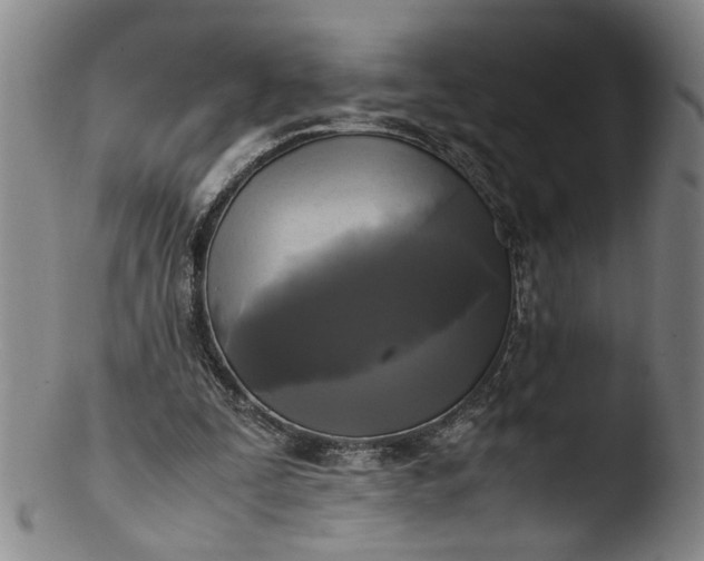 X0000103430295200809261737