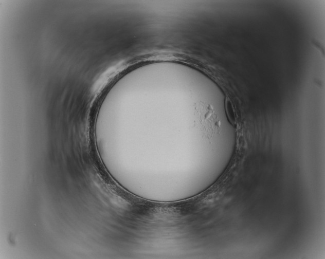 X0000103430296200809261737